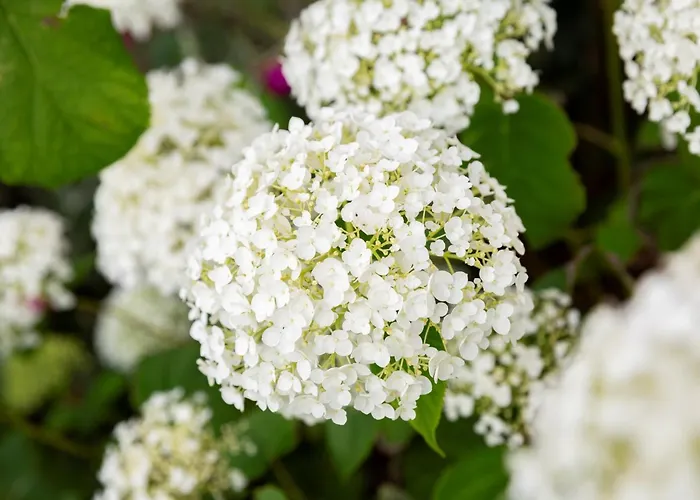 1 Bed In Ripon 95074 *