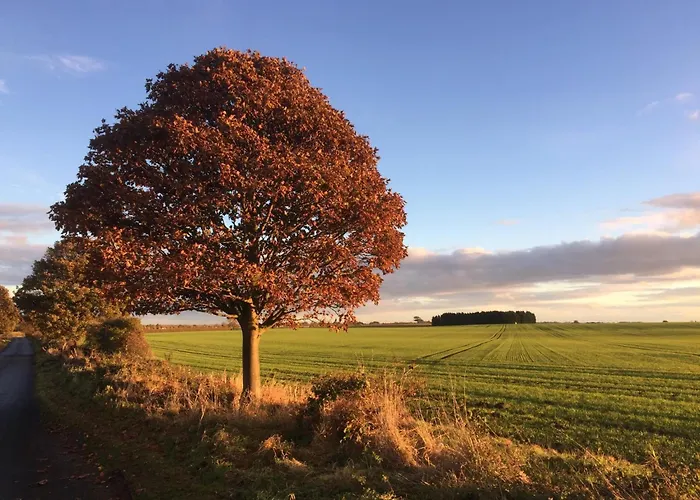 Holiday home 1 Bed In Ripon 95074 Dishforth