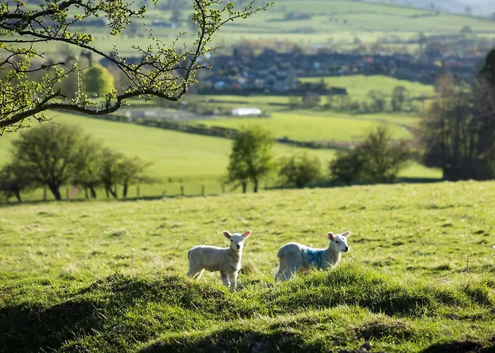 1 Bed In Ripon 95074