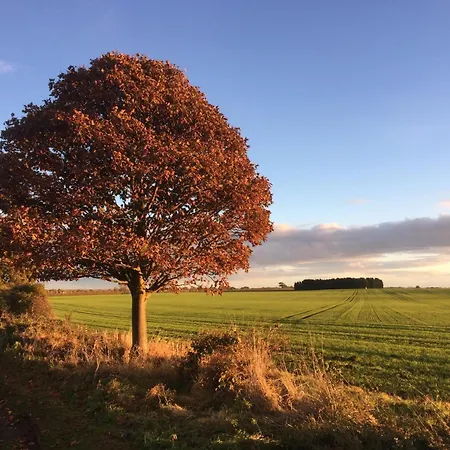 Vakantiehuis 1 Bed In Ripon 95074 Dishforth