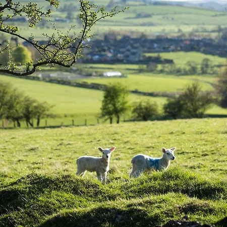 1 Bed In Ripon 95074