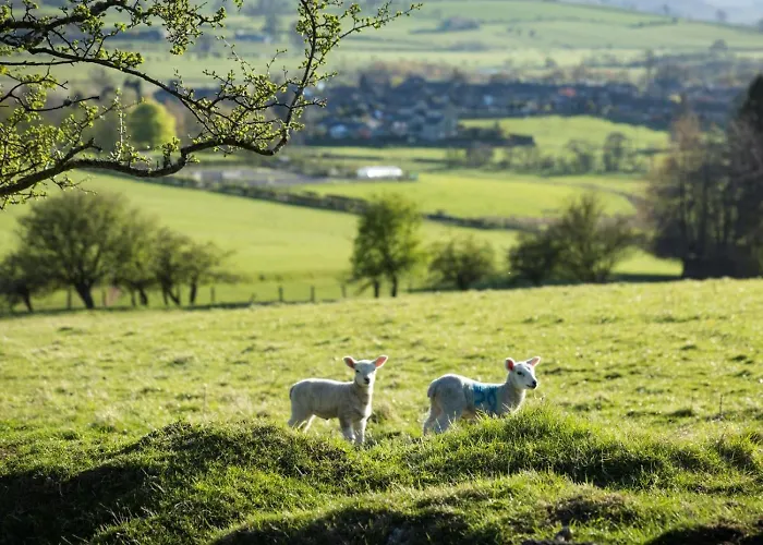 1 Bed In Ripon Oc-95074 Dishforth